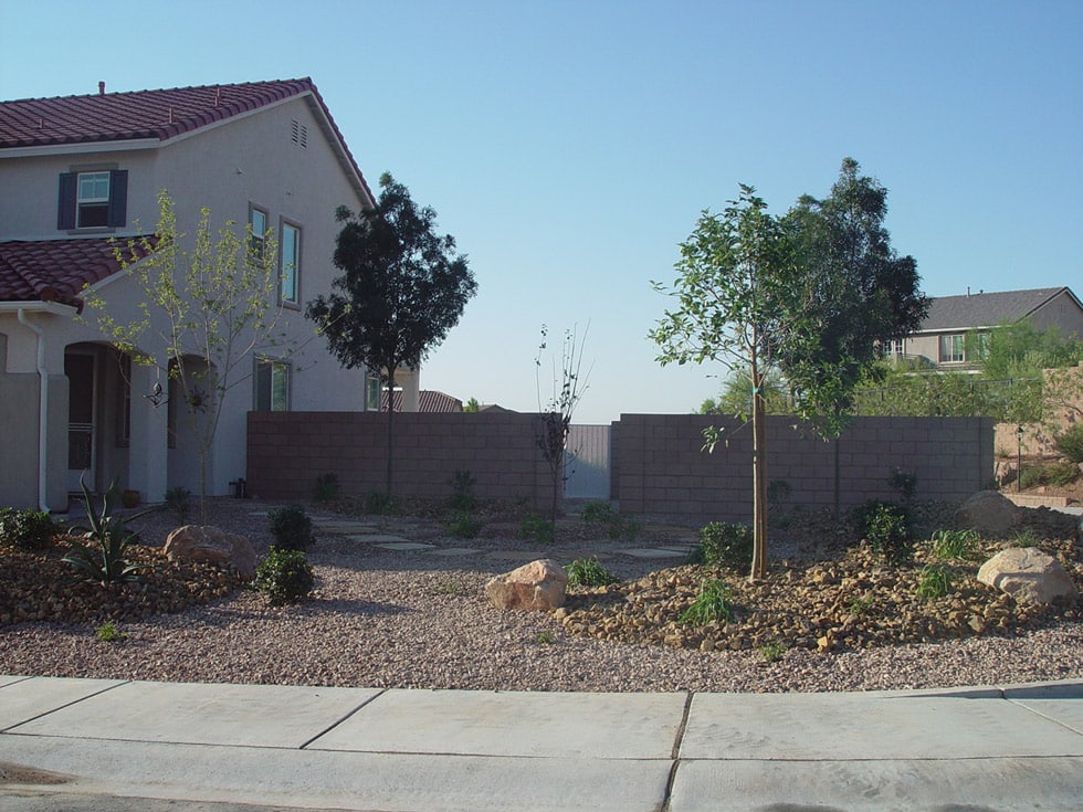 Desert Landscape with Succulents · Cacti Landscapes Las Vegas
