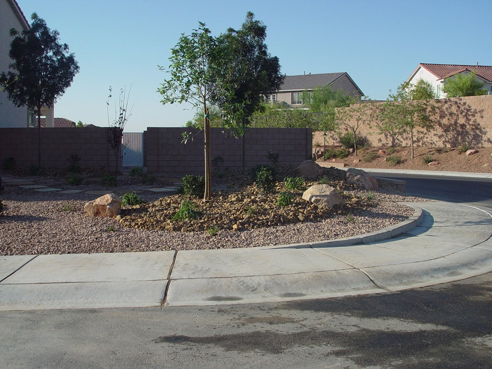 Desert Landscape with Succulents · Cacti Landscapes Las Vegas