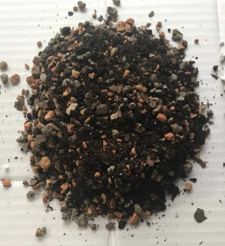 Can You Mix Cactus Soil with Regular Potting Soil? Cactus Central