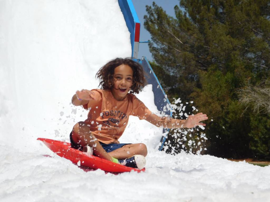 DSCN3233_preview Cactus Day Camp