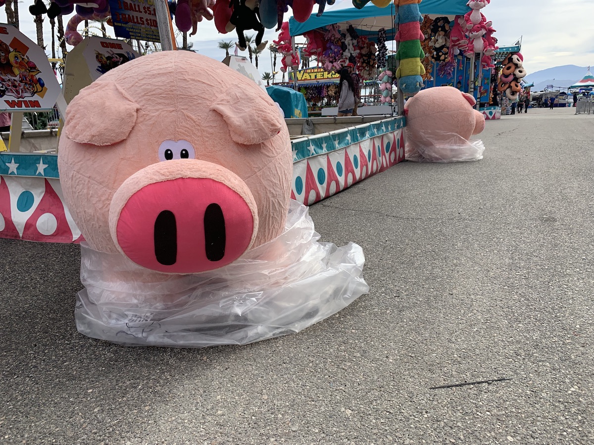 This is the best part of the Date Festival Cactus Hugs