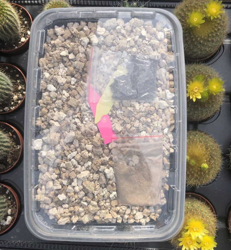 Cactus & Succulent Seed Germination Kit Cactus Kingdom