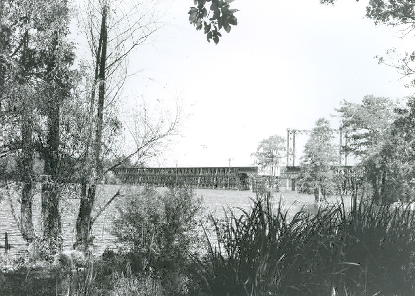 Mooringsport Town Pictures