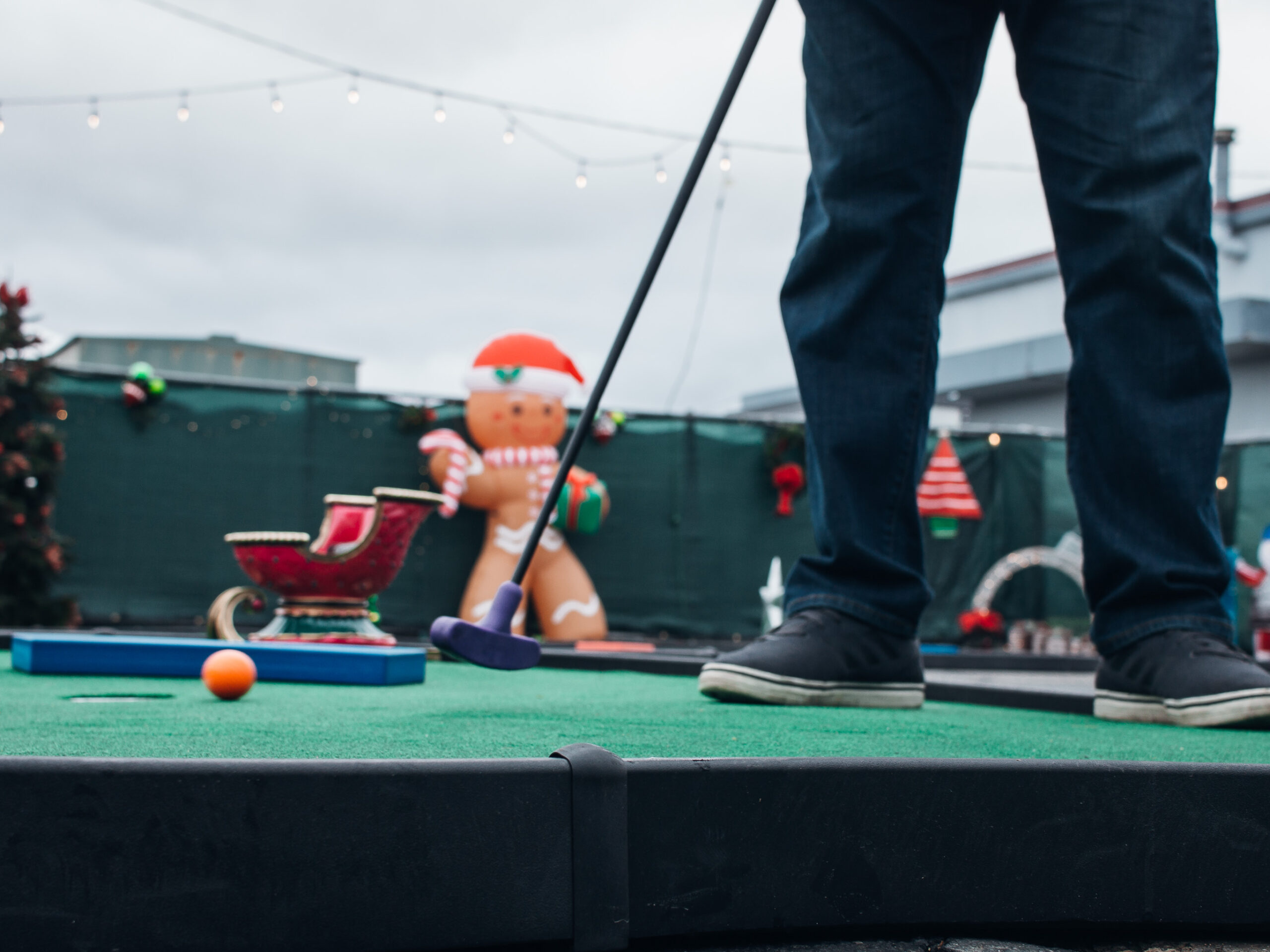 Gallery caddy's course