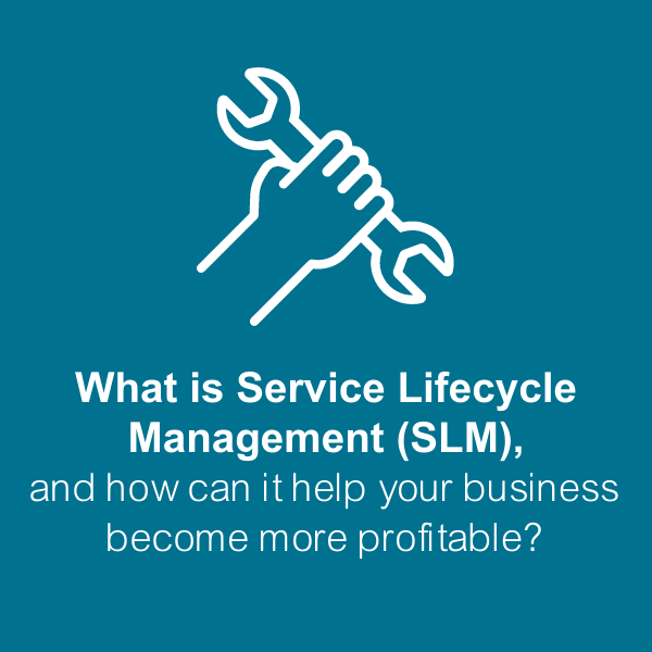 What is SLM, how can it help businesses be more profitable?