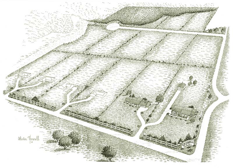 Cadwell Estates 5 acre tracts in Rural Lawrence, KS