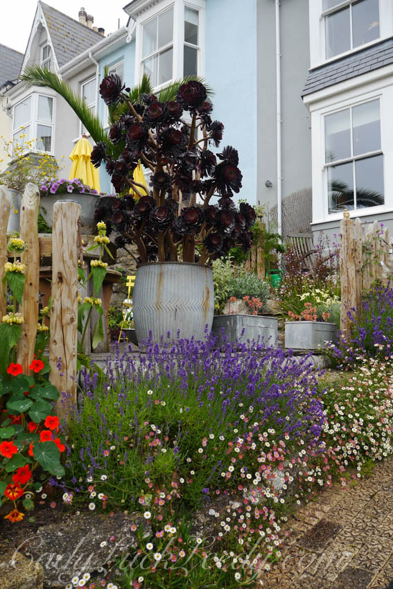 Reason to Love St Ives 2 The Gardens The Travel Lady In Her Shoes