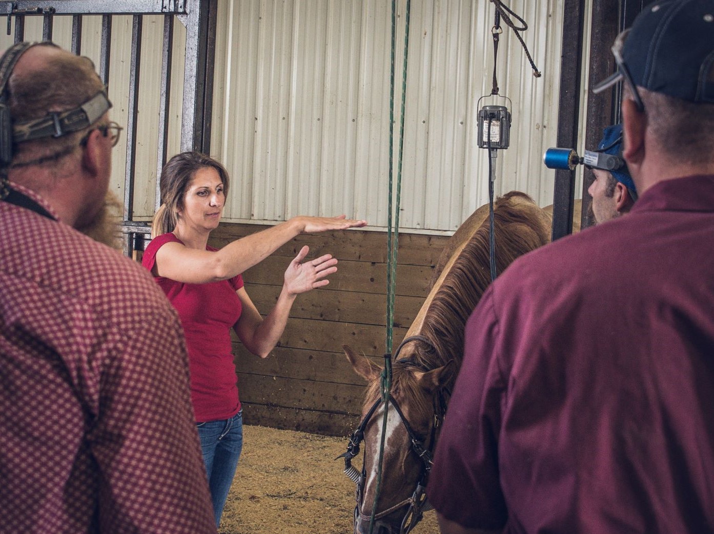 01 EqD School Programs Canadian Association of Equine Dental