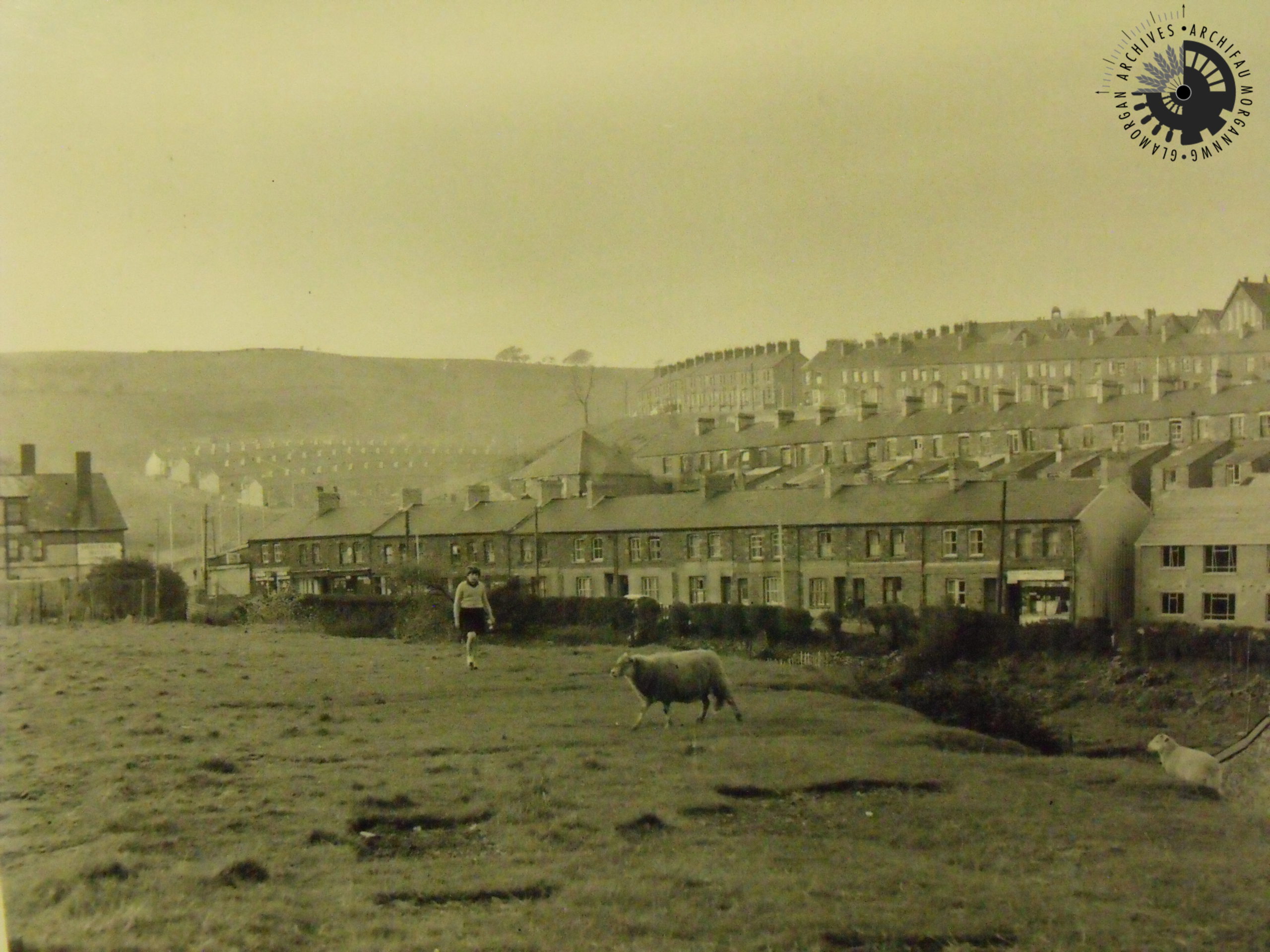 Senghenydd Caerphilly Observer