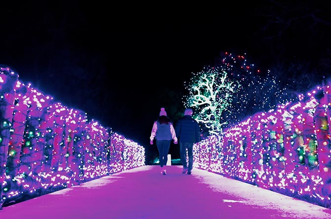 Win a visit to Christmas at Bute Park festive light trail