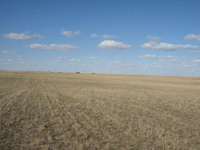 800 Acres CULTIVATABLE Livestock **SOLD** Saskatchewan Farmland For Sale