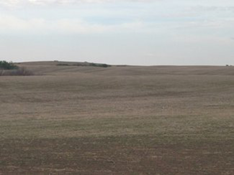 Kindersly 4,Oil Rich Land ***SOLD*** Saskatchewan Farmland For Sale