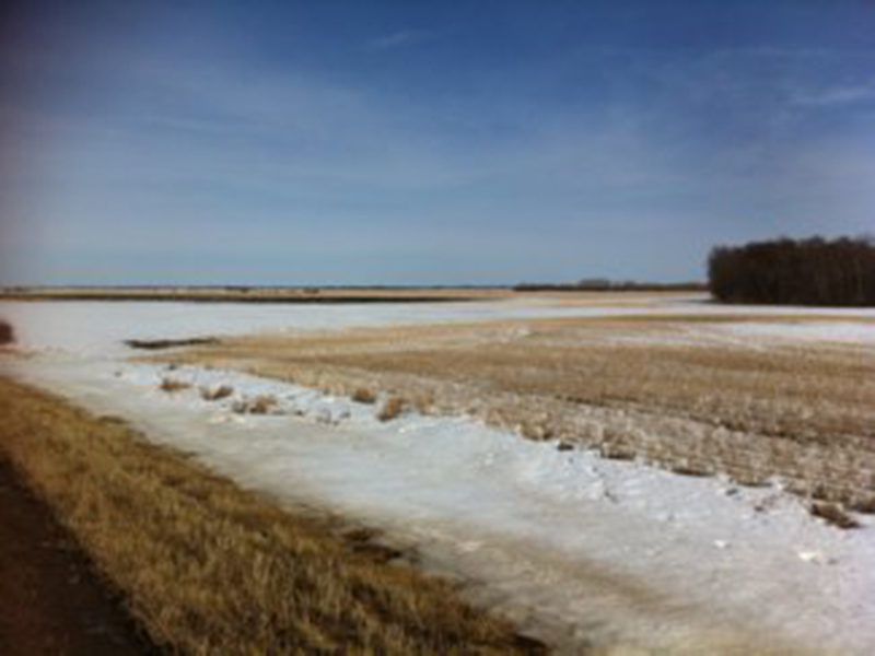 Flat 2 Quarter Land Parcel **SOLD** Saskatchewan Farmland For Sale