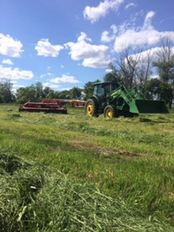 Semans 3 Quarters Saskatchewan Farmland For Sale