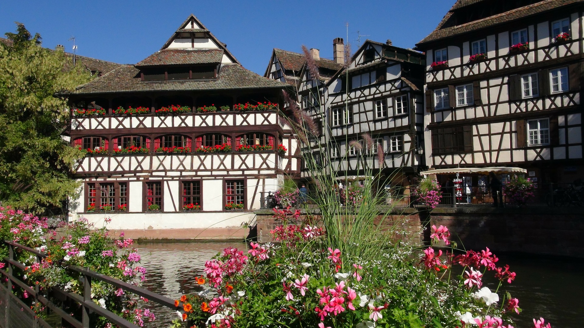 Visiter l’Alsace entre tourisme et gastronomie Café Powell