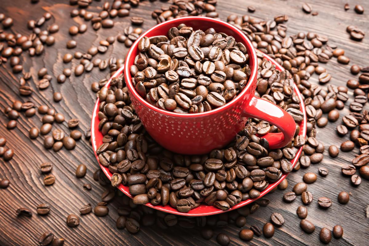 » Café de Costa Rica por qué es el mejor y dónde comprarlo