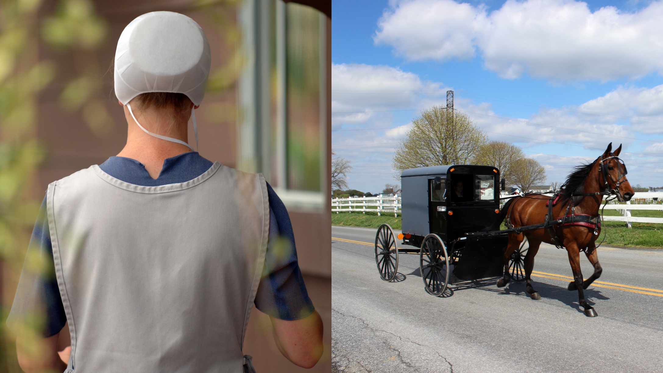Police Investigating Murder of Pregnant Amish Woman — 'Why Would