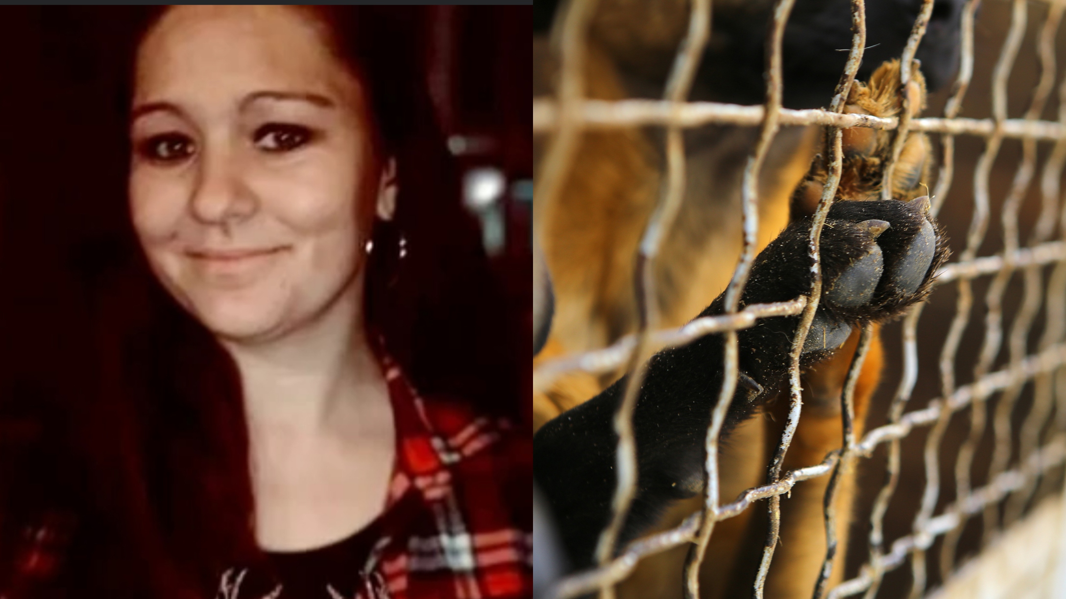 Mom Trying To Protect Her 3 Kids Is Killed in Horrifying Dog Attack