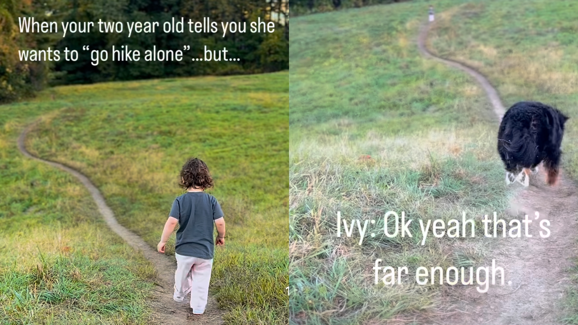 Hilarious Dog Judges Man's Parenting Skills in Viral Video