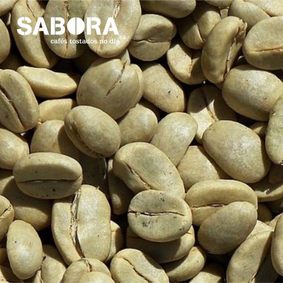 Clasificaciones del café verde SABORA Cafés Tostados no día