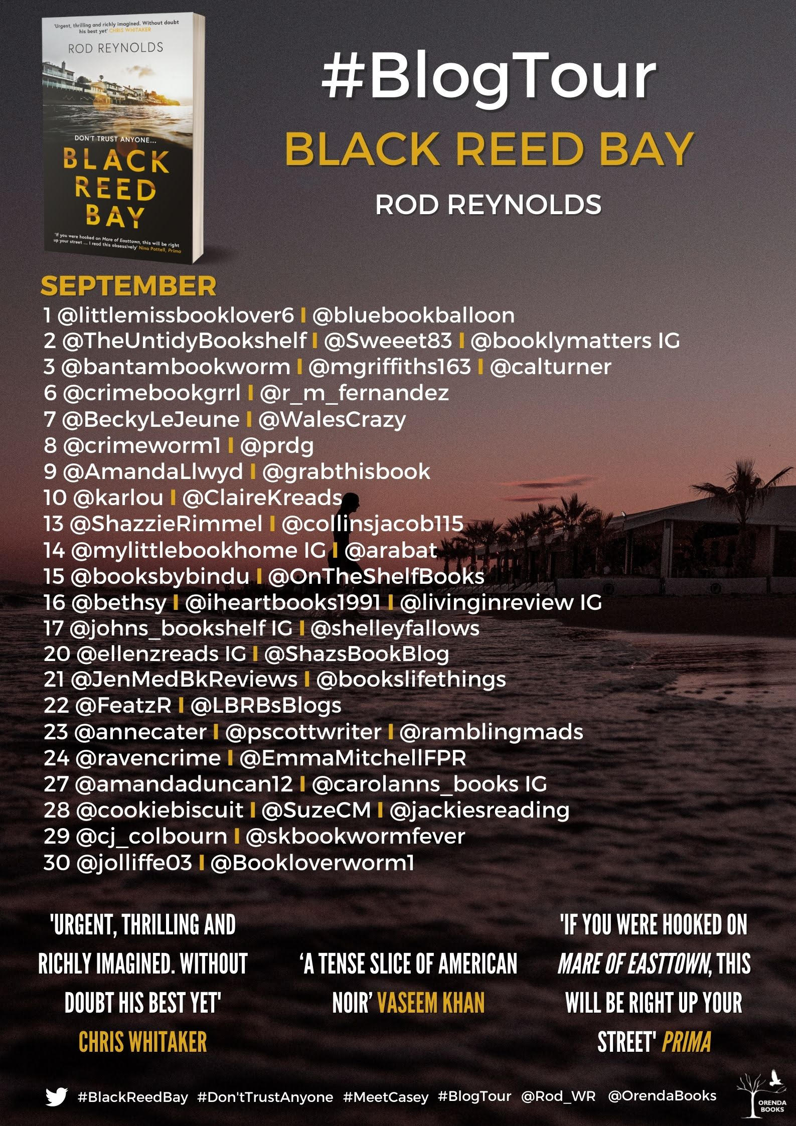 Black Reed Bay, by Rod Reynolds book review Cafethinking