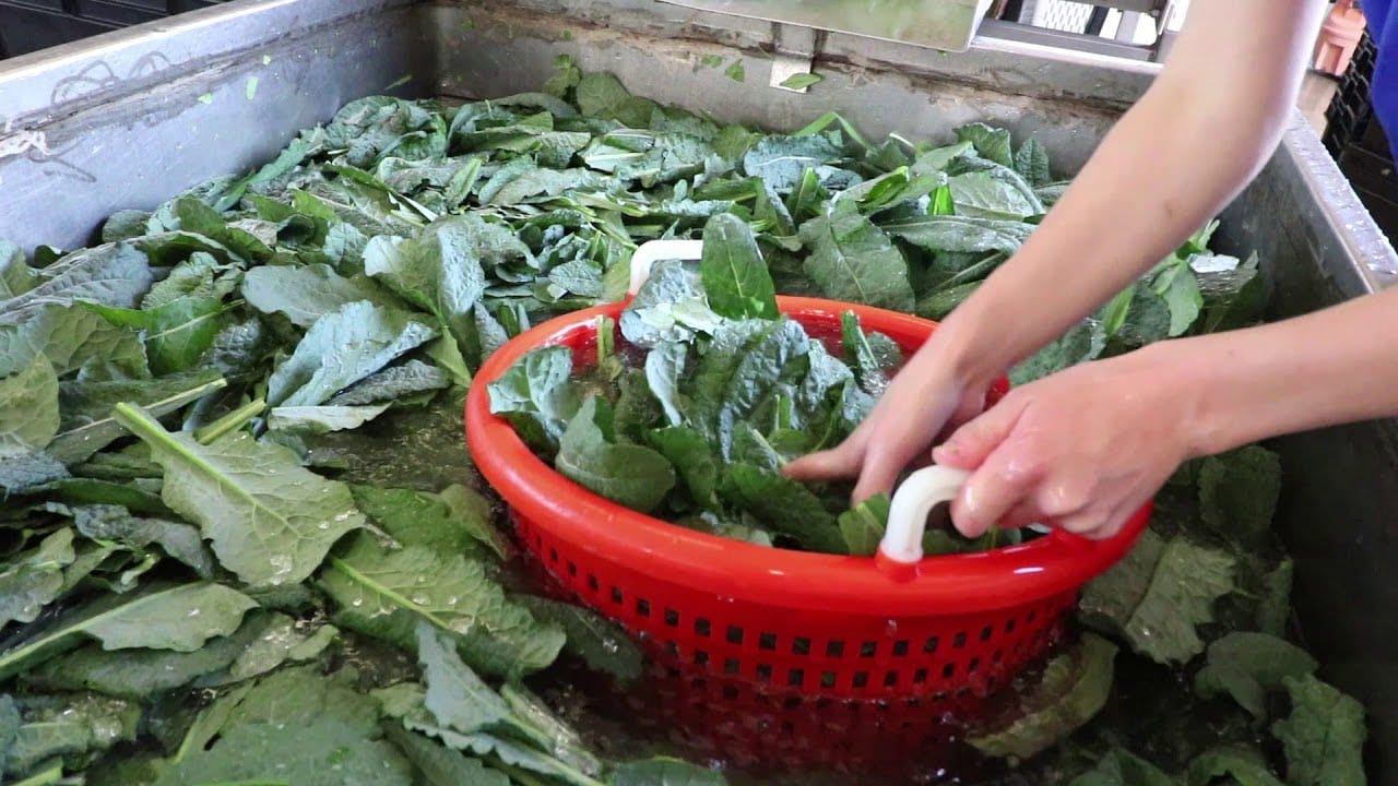 Postharvest Resources Community Alliance with Family Farmers