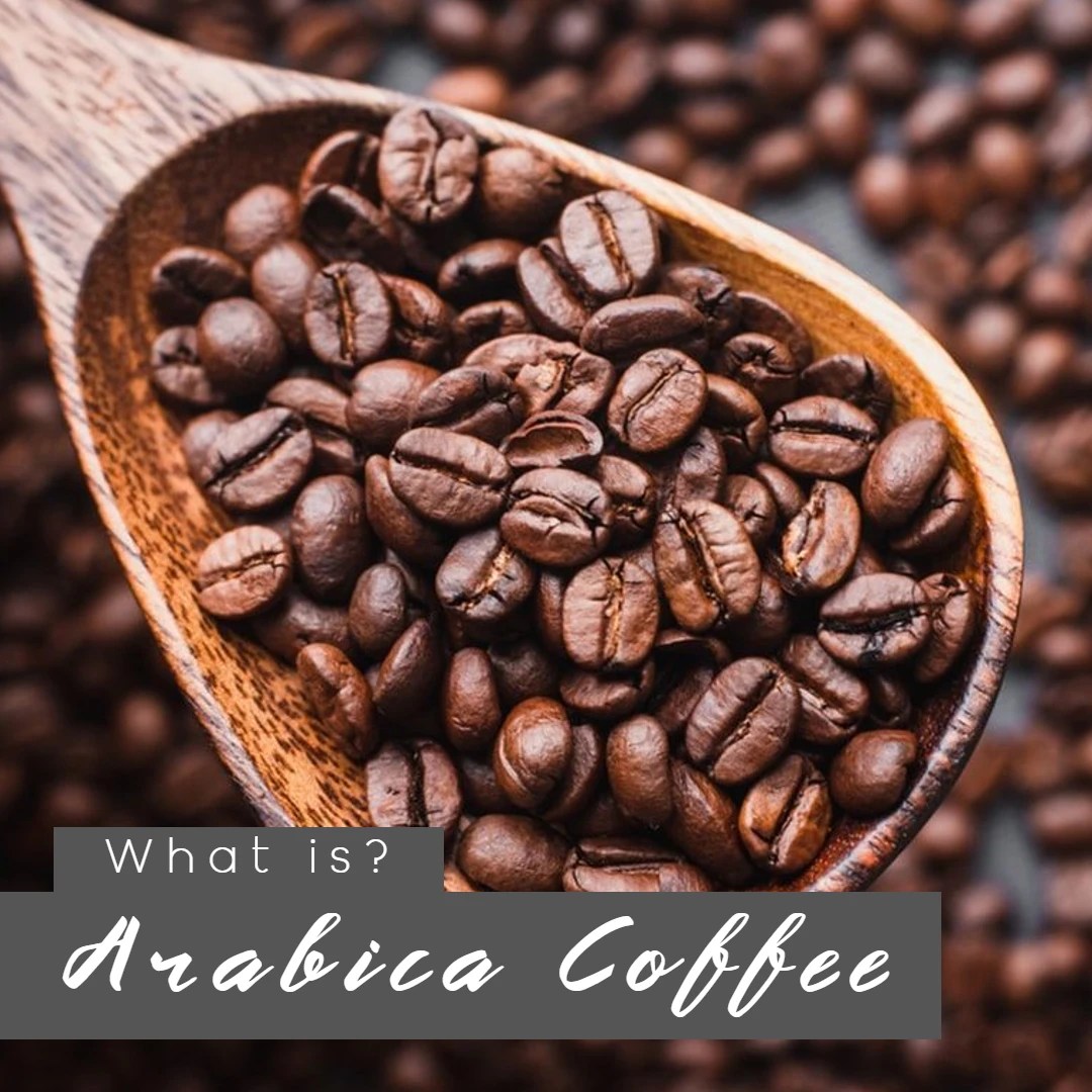 Arabica Coffee Beans A Flavorful Delight for Coffee