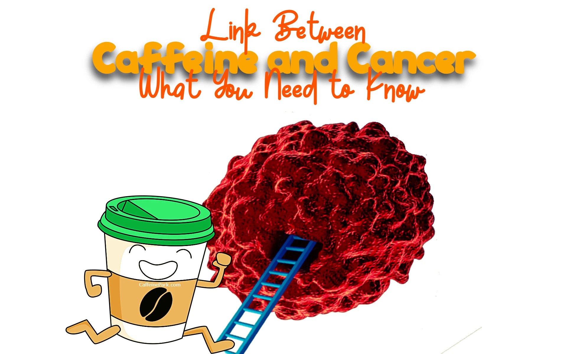 Caffeine and Cancer Relationship between Caffeine and Cancer