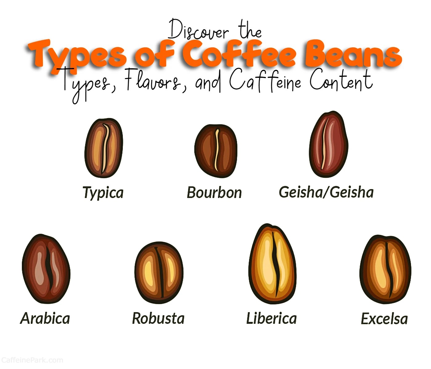 Types of Coffee Beans Types, Flavors, and Caffeine Content