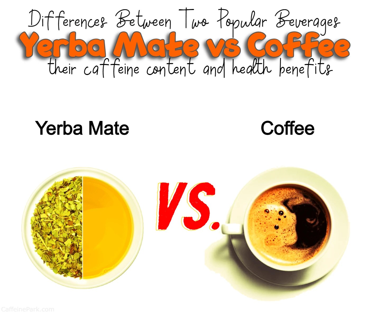 Yerba Mate vs Coffee Exploring the Differences Between