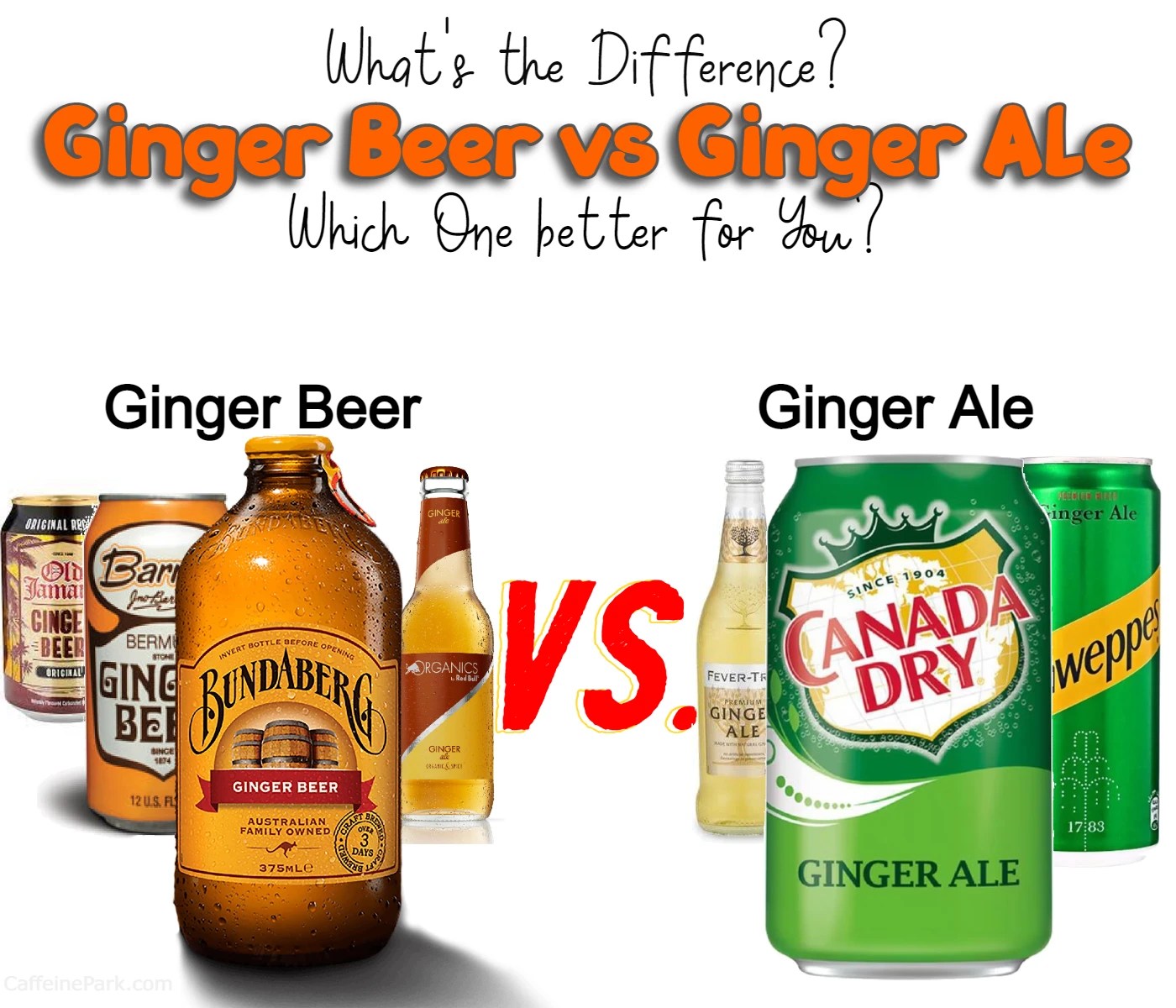 Ginger Beer vs Ginger Ale What's the Difference?