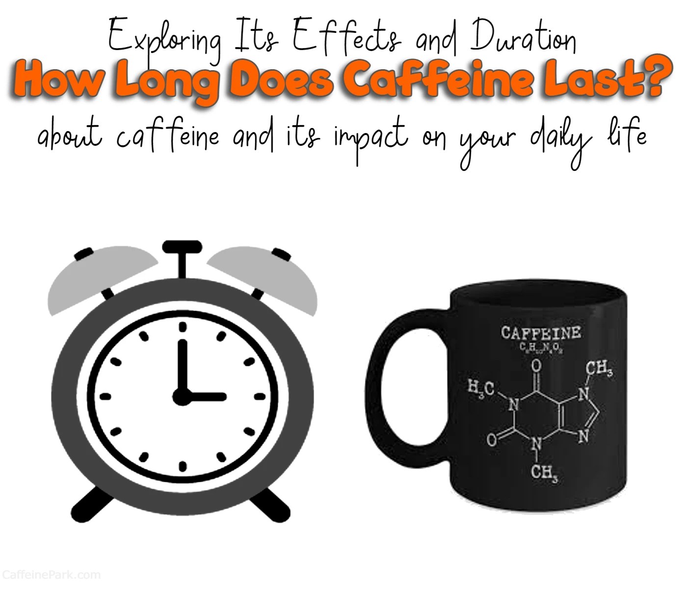 How Long Does Caffeine Last? Exploring Its Effects and Duration