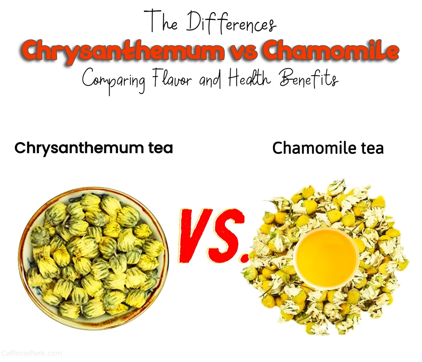 Chrysanthemum Tea vs Chamomile Which is Better for You