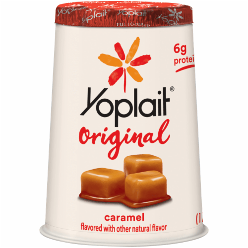 Coffee Yogurt Brands Top 10+1 Best Delicious for Coffee Lovers