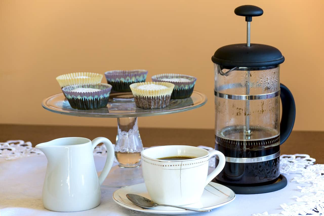 9 Best French Presses (2024 Reviews)