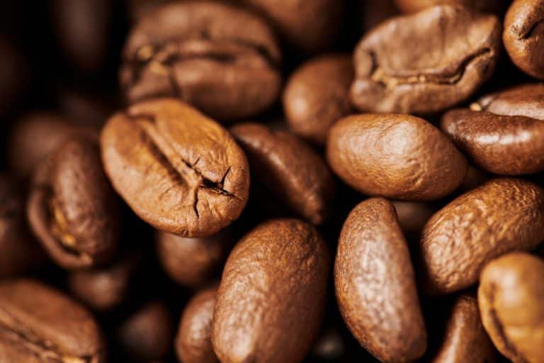 5 Best Medium Roast Coffee Beans (2024 Reviews)