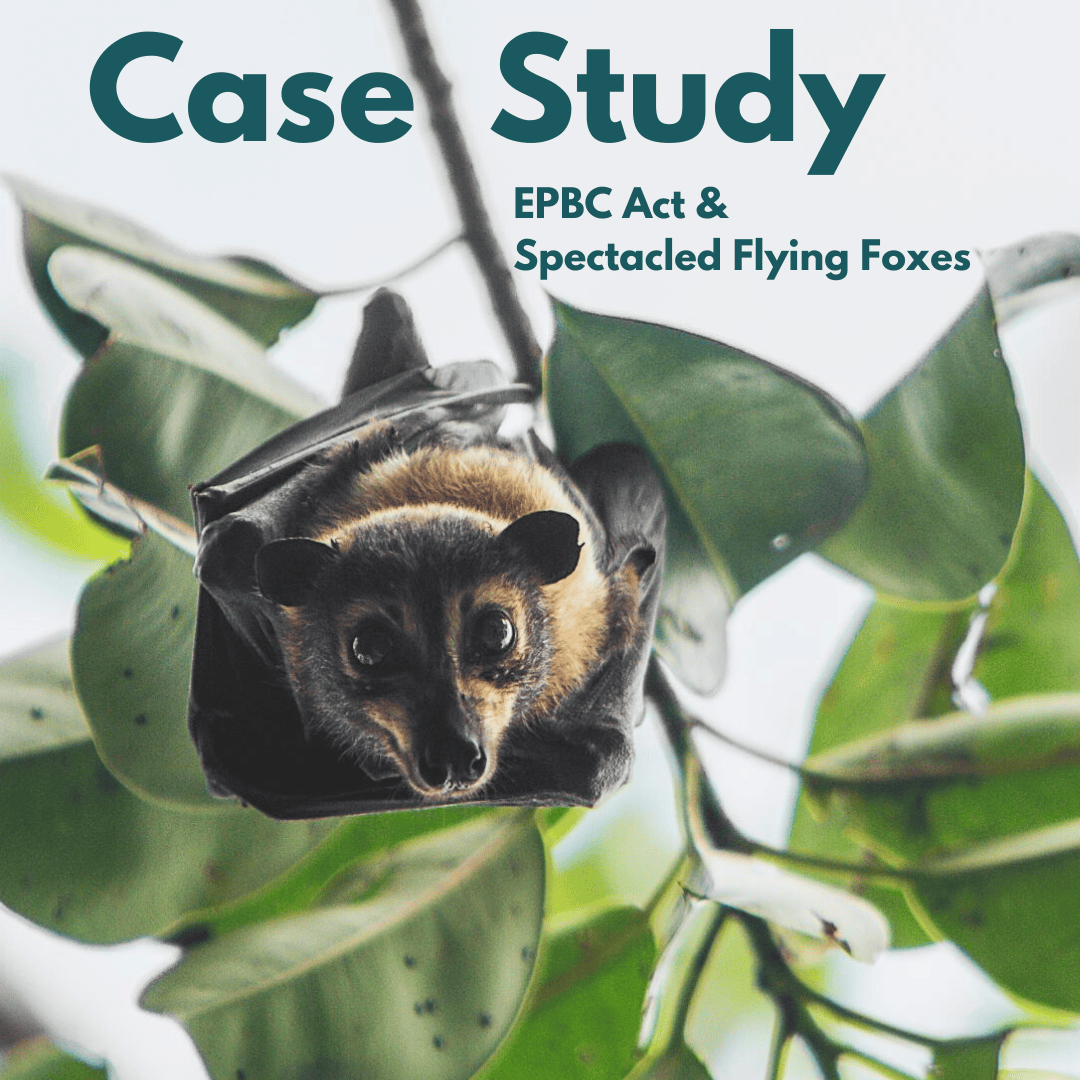 EPBC Act Review Make a Submission! CAFNEC