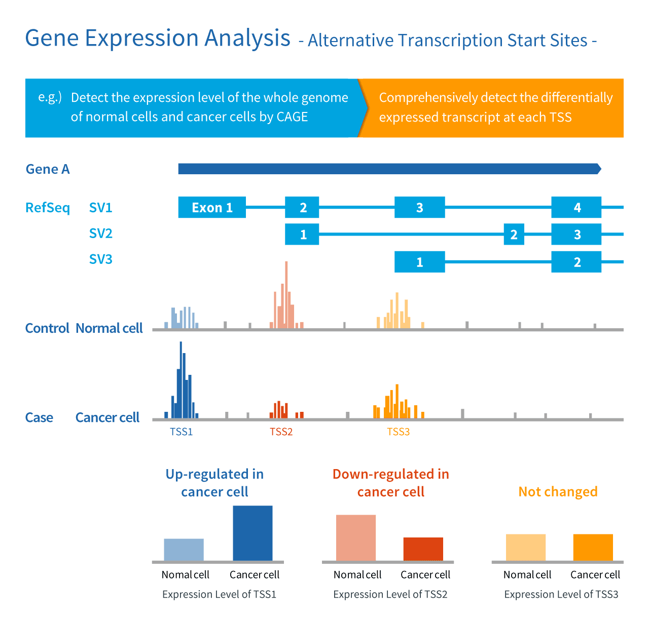 CAGE Analysis CAGE A highly sensitive and precise means of gene