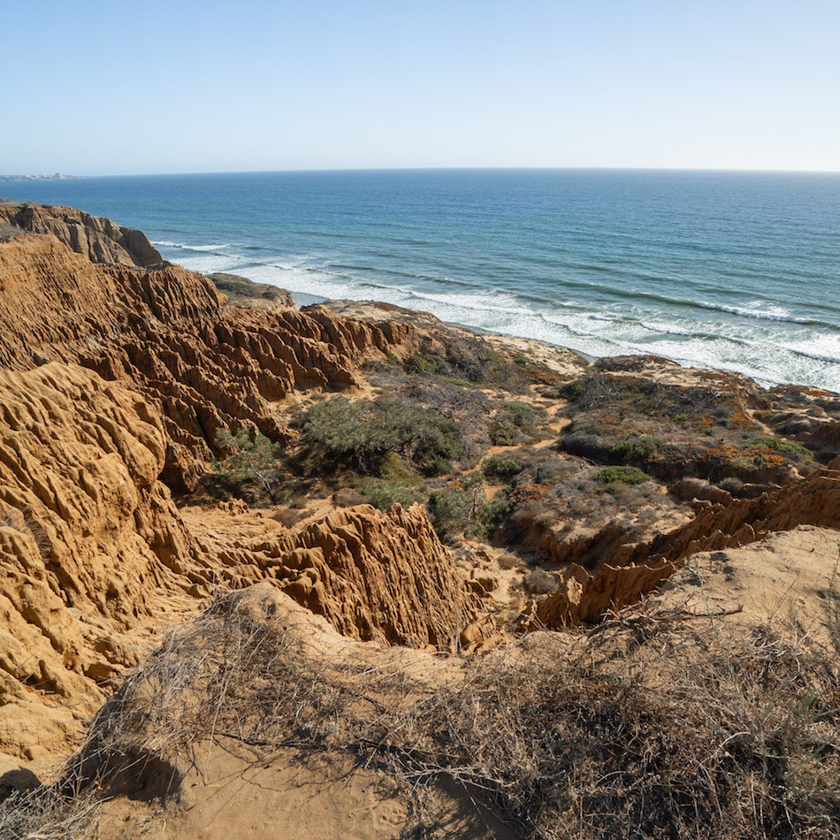 Torrey Pines Beach Trail Loop This SD Hike is a Must!