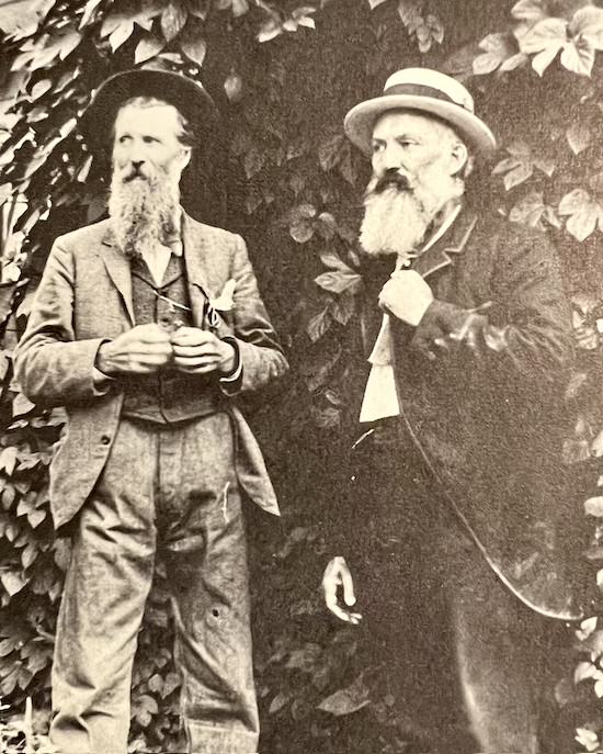 Henninger Flats Hike to a Scenic Forest Nursery