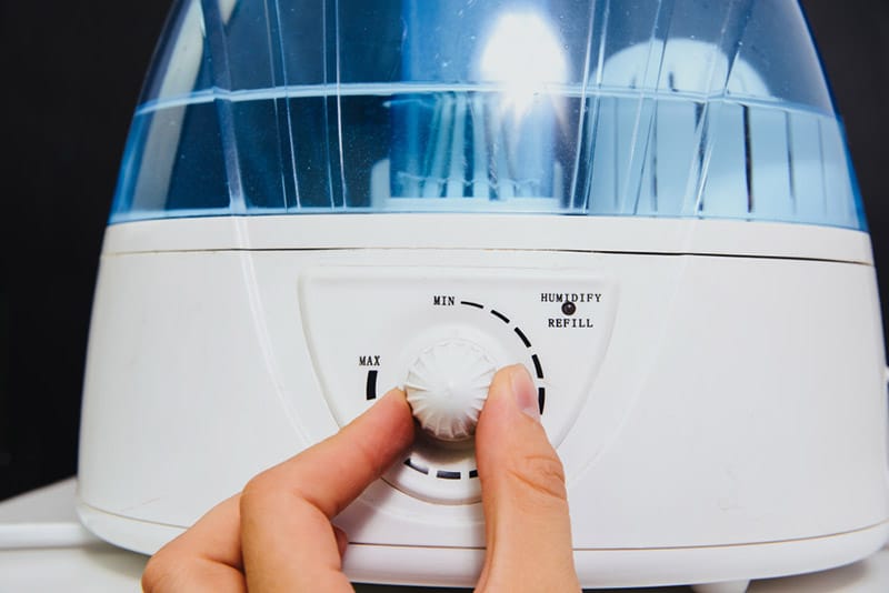 Difference Between Humidifier vs Dehumidifier Cahill