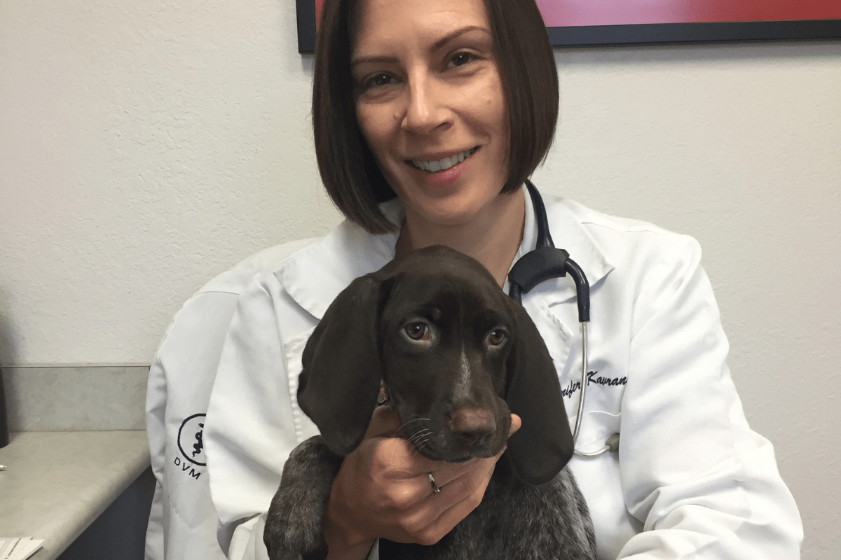 Companion Care Plans Companion Animal Hospital