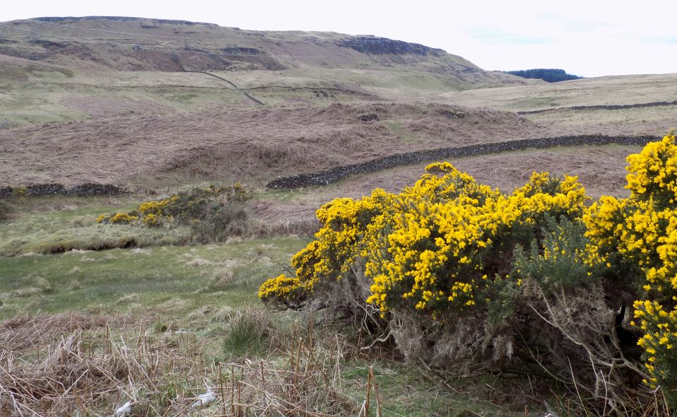 Photographs and map of a walk across Dumbarton Muir via the Black Loch to Dunellan in the