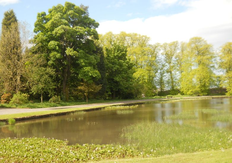 Photo Gallery of the Colzium Lennox Estate and surroundings at Kilsyth