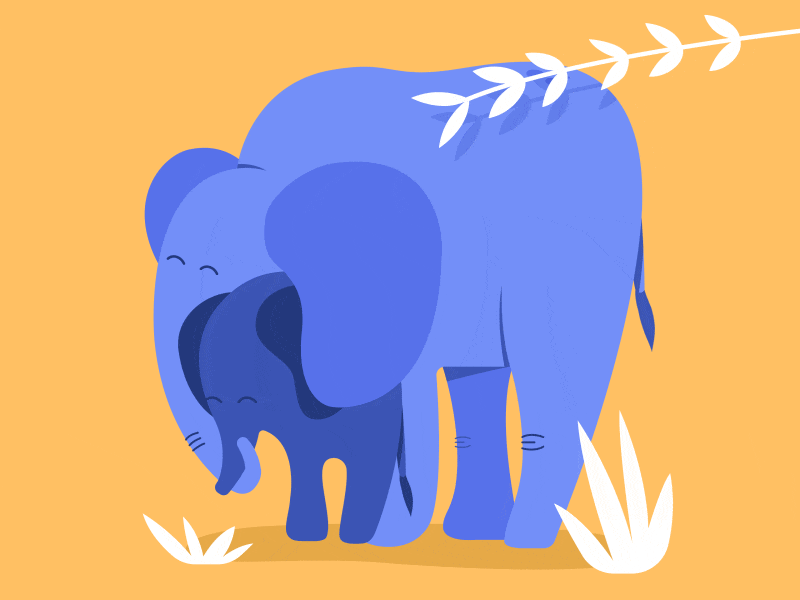 elephant_classification