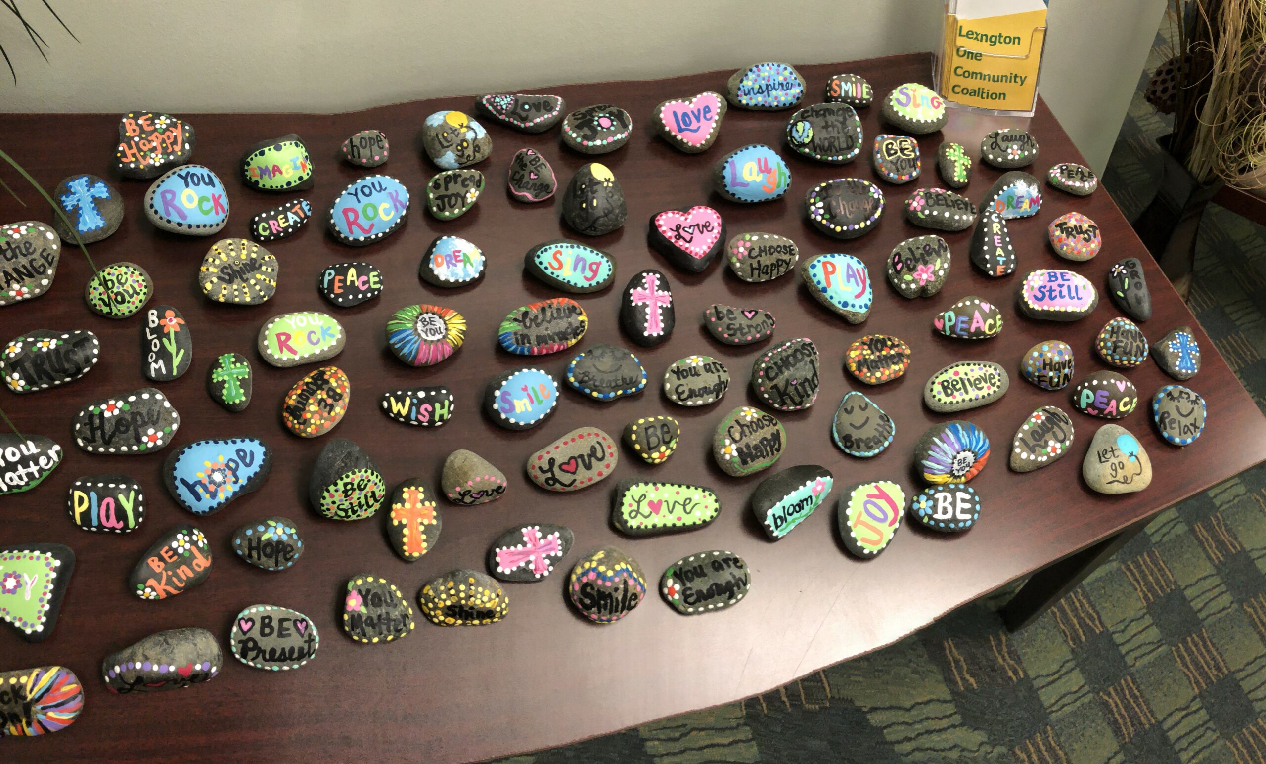 Pelion Middle School Empowerment Club Girls with Goals Cairn Guidance