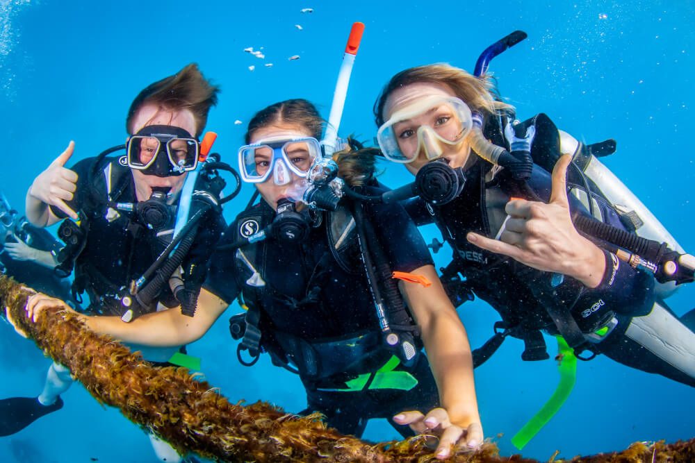 Reef and Tropical Experience