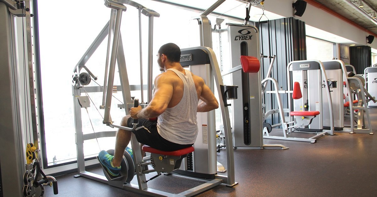 Cybex Machine Workout Routine EOUA Blog