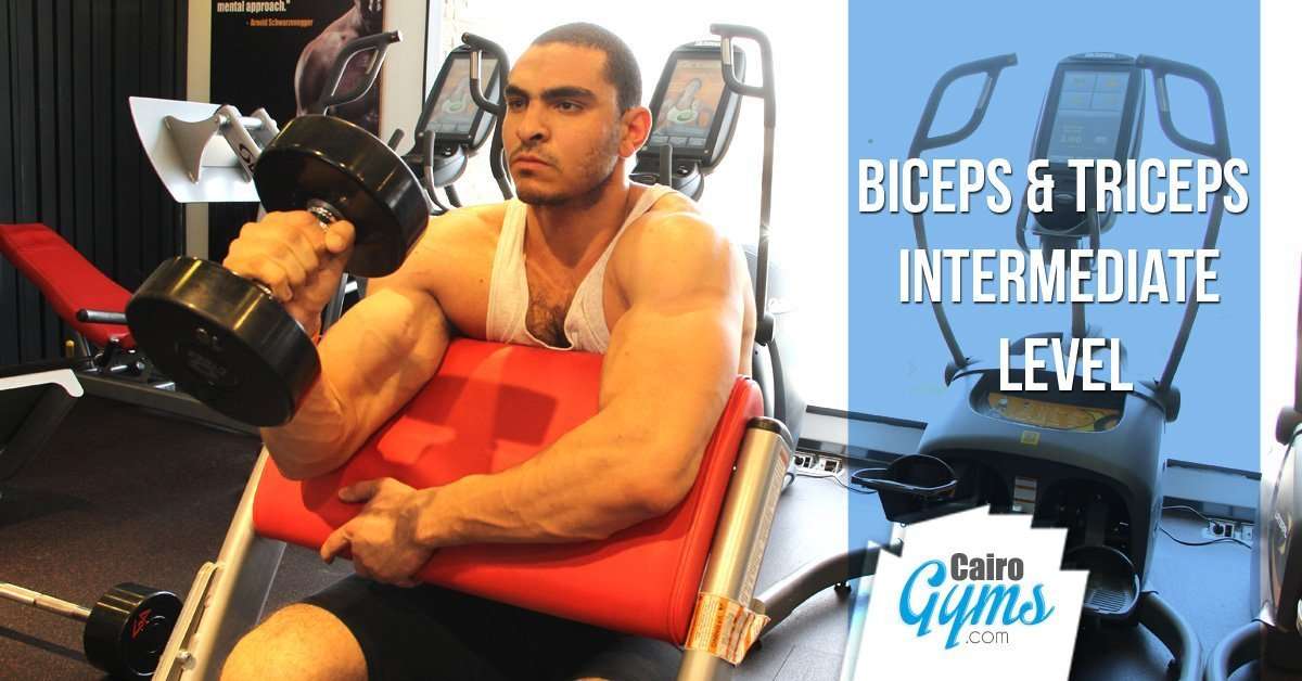 Amazing ARM Max workout for Intermediate Level Cairo Gyms