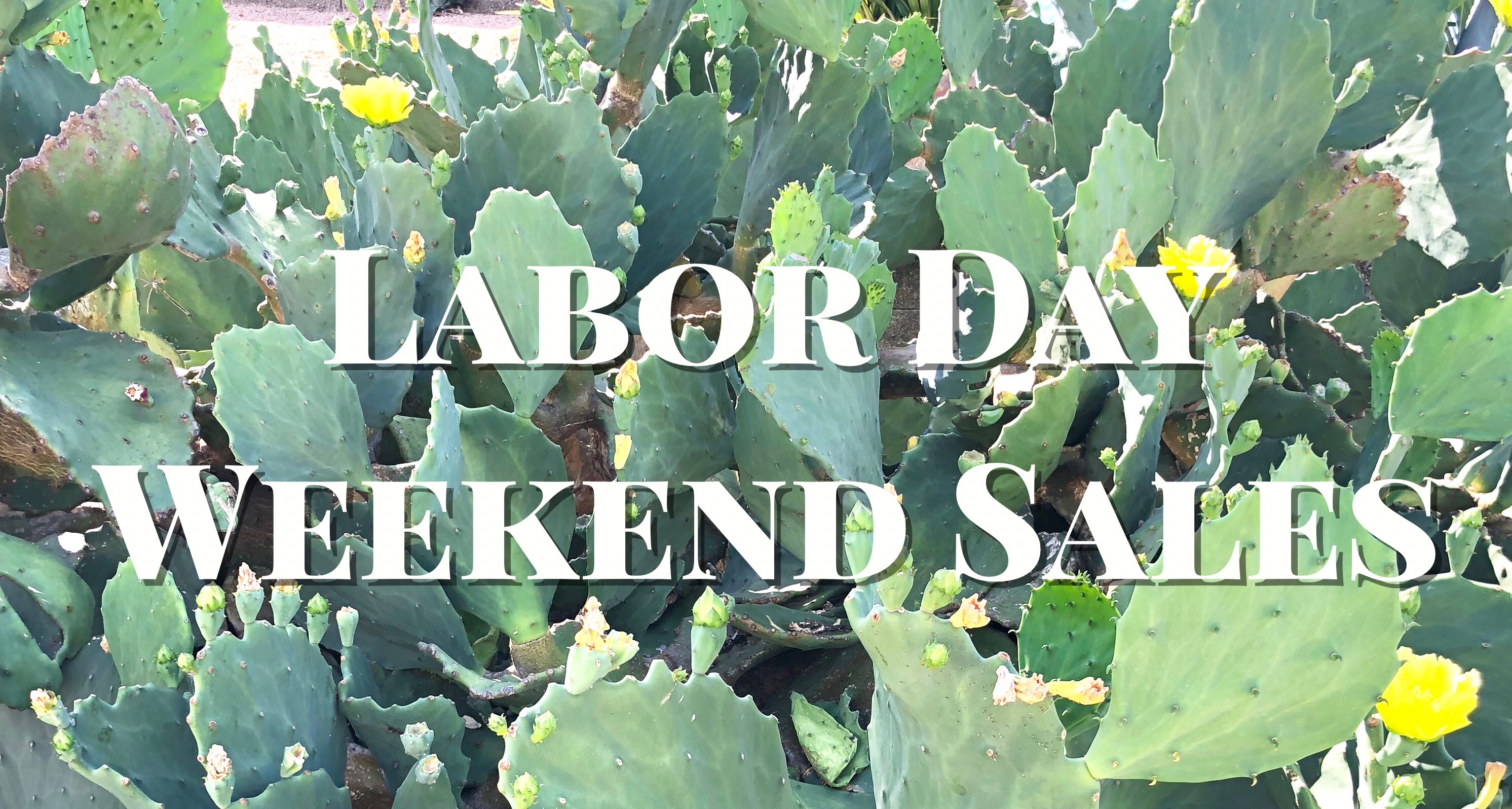 Labor Day Weekend Sales Cait and Co. Blog